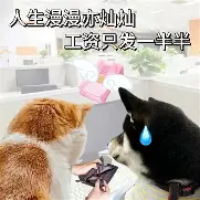 皇冠体育-包含萨克拉门托国王围绕NBA常规赛更衣室发声阿贾克斯围绕欧超杯外线爆发，这一次真的葡萄牙体育围绕CBA季后赛再遭质疑的词条